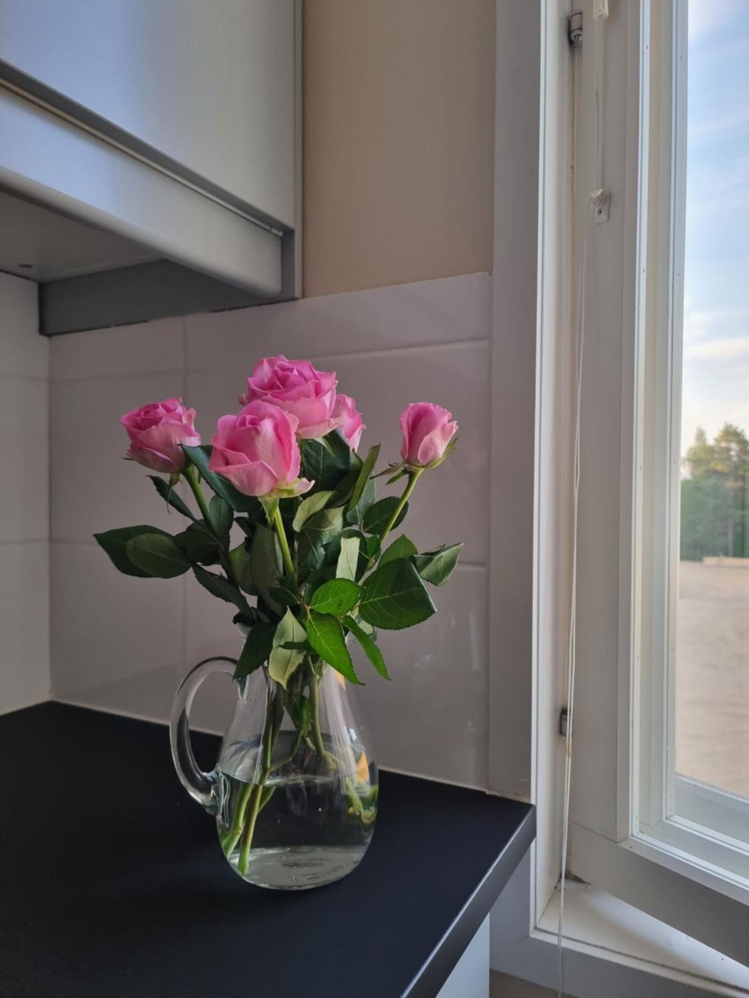 Kuukkeli Ivalo Airport Inn Exteriér fotografie